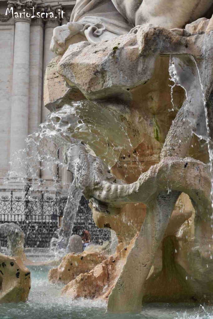 particolare acqua fontana piazza navona