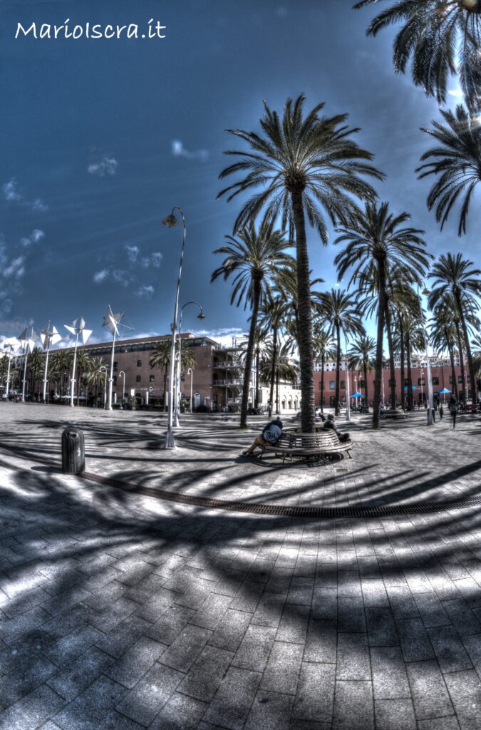 piazza con palme colore