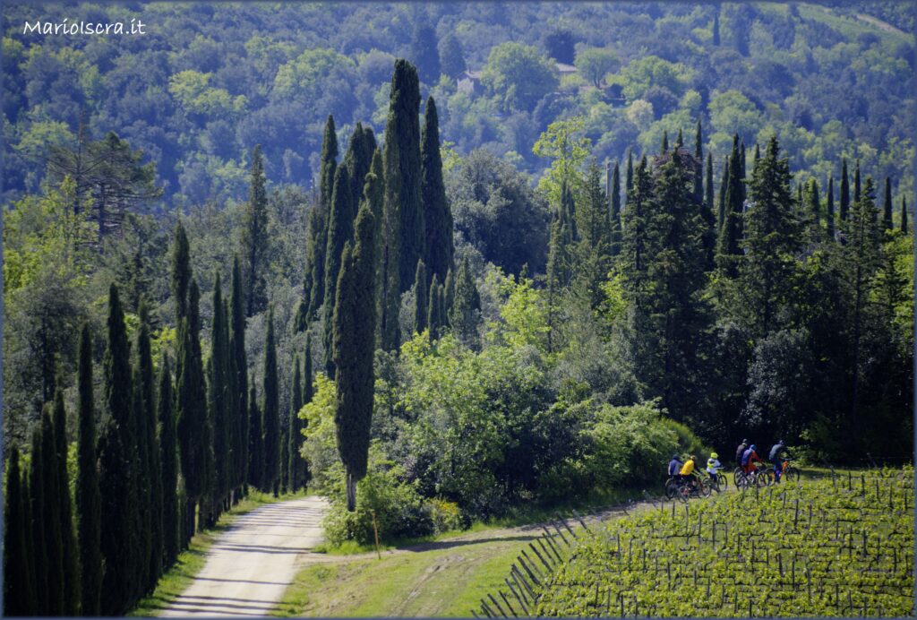 escursioni in bicicletta